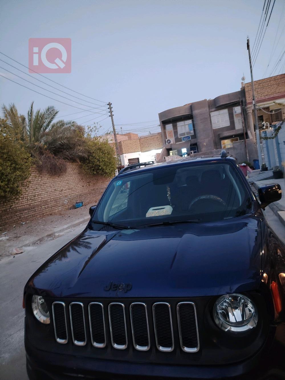 جيب رينيجيد